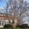 Dumbarton Oaks